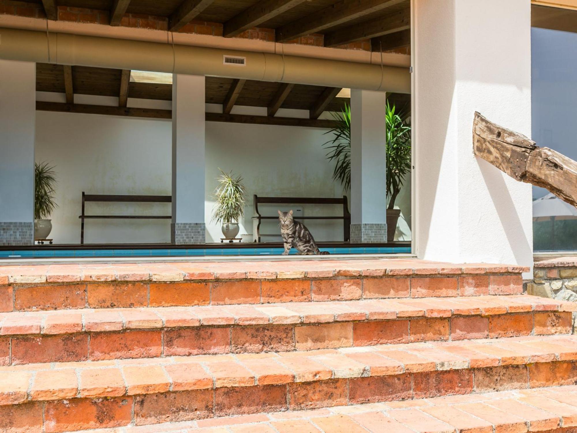 Holiday Home Ciliegiolo By Interhome Cinigiano Luaran gambar
